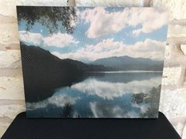 16" x 20" photograph on canvas. Original. Estate sale price: $60