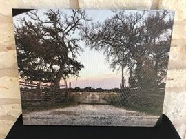 16" x 20" photograph on canvas. Original. Estate sale price:   $60