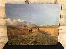 16" x 20" photograph on canvas. Original. Estate sale price:  $60