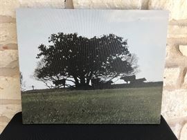 16" x 20" photograph on canvas. Original. Estate sale price:  $60