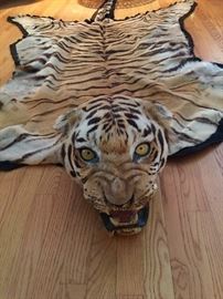 VINTAGE TAXIDERMY TIGER (OVER 50 YEARS OLD)
