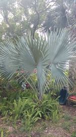 These are very nice!