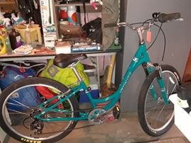 Specialized expedition low entry bike