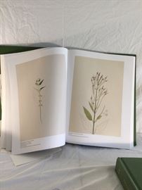 Kate Furbish: Flora of Maine: Watercolors in 2 Volumes https://ctbids.com/#!/description/share/94921