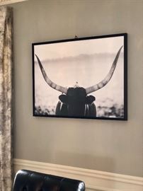 "Steer Staredown" - GREAT!