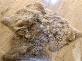 Overland Sheepskin Rugs