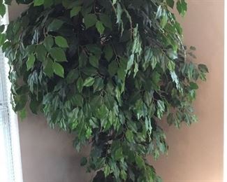 Ficus tree - artificial