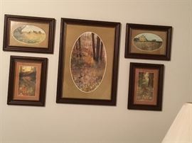 Collection of pictures