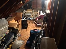 Treasured to unearth 😁