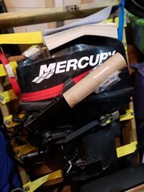 Mercury outboard motor