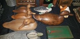 decoy ducks