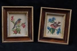 2 Beautiful Bird Framed Pictures