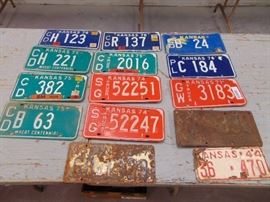 14 License Plates