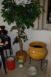 Pottery, fake ficus