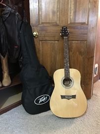 Peavy guitar with soft sided case