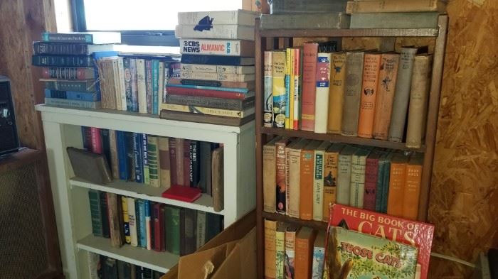 Books and Bookshelves
