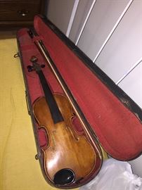 Violin