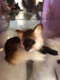 made of real fox fur