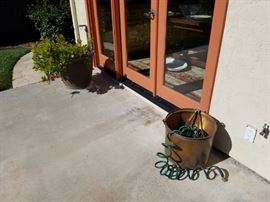 Many, lovely potted plants to choose from