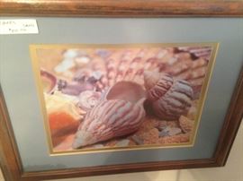 Framed shell picture
