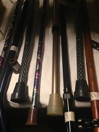 Variety of canes