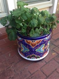 Colorful planter