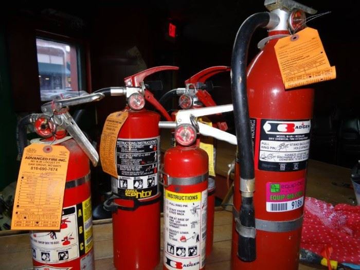 Lot of Various size Fire Extinguishers Badger, Cen ...
