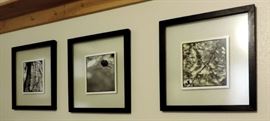 BLACK AND WHITE NATURE PHOTOGRAPHS FRAMED IN GLASS
