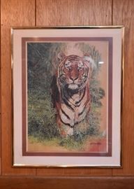 Framed Prints - Tiger