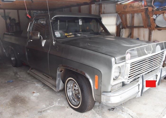 1976 Chevy Pick Up Truck (it runs!)