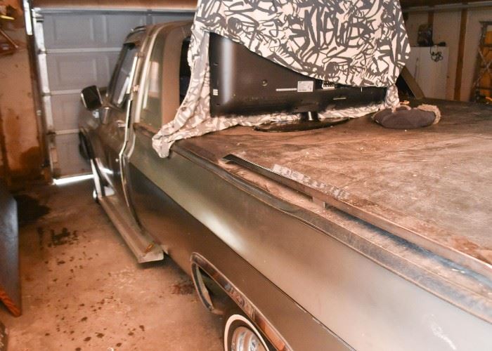 1976 Chevy Pick Up Truck