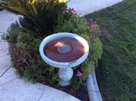 Bird bath 