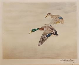 Leon Danchin Duck Print