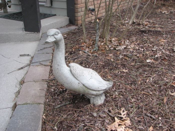 concrete duck