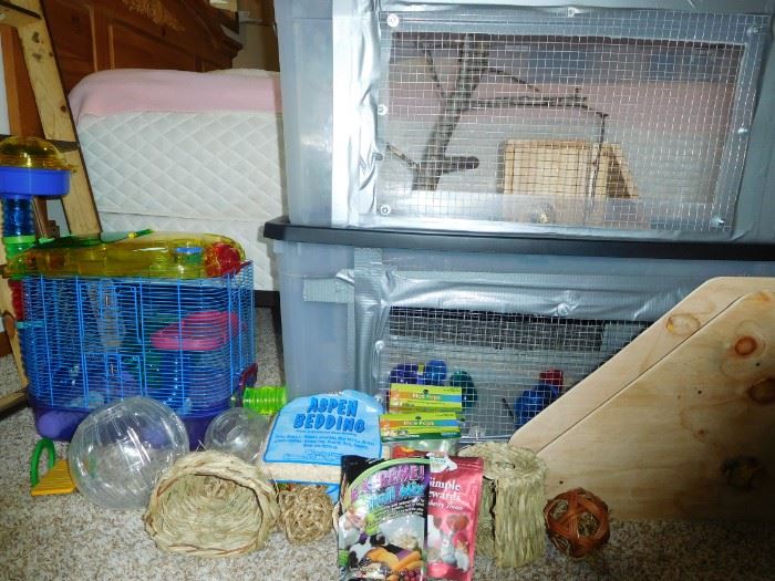 hamster paradise