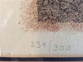 Parrot Conversation numbered