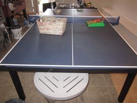 PING PONG ANYONE?
