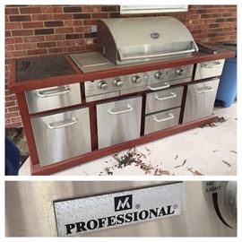 Member's Mark Professional Grill
