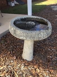 Bird Bath