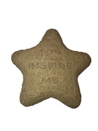 "You Inspire Me" Starfish Paperweight