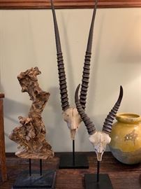 Gorgeous decor....Kudu horns, drifwood, pottery, and more!