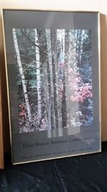 Framed print, "Eliot Porter: Intimate Landscapes" from the Met
