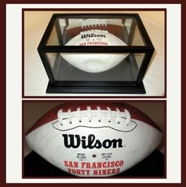 San Francisco Forty Niner's Football c.1995 Signed by Steve Young, Jerry Rice, Tim McDonald, Michael Brandon, Oliver Barnett, Derrick Deese, Gary Plummer, Lee Woodall, Antonio Goss, Gary Gonklin, John Taylor, Bryant Young, Dave Stubblefield, Eric Davis and More