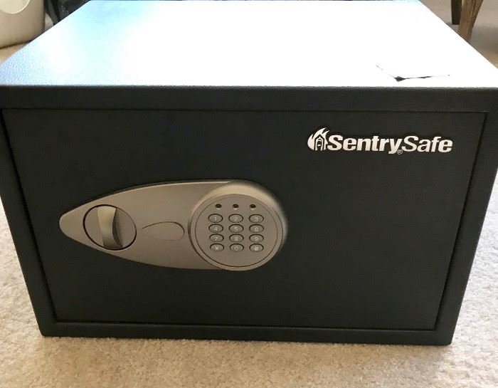 Sentry Safe https://ctbids.com/#!/description/share/102158