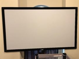 100 “ Projection  Screen , made by Elite Screens - in great condition!