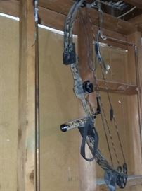 Another Compound Bow