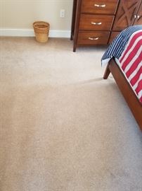 Clean carpet throughout