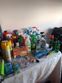 You can't imagine all the cleaning supplies in this house!!