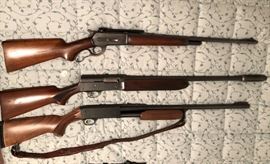Great Selection of Rifles