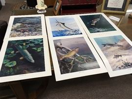 Bob Hines Fishing Prints